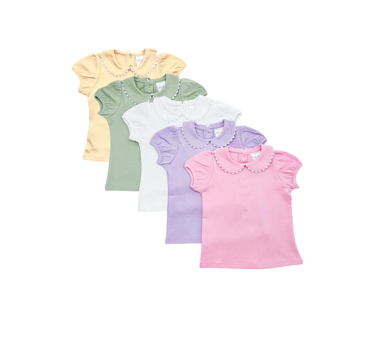 Fall Scalloped Collar Short Sleeve Shirt